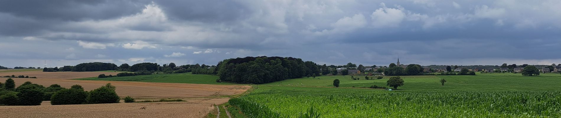 Randonnée Marche Hamois - Sentier d'art : de Schaltin à Gesves - Photo