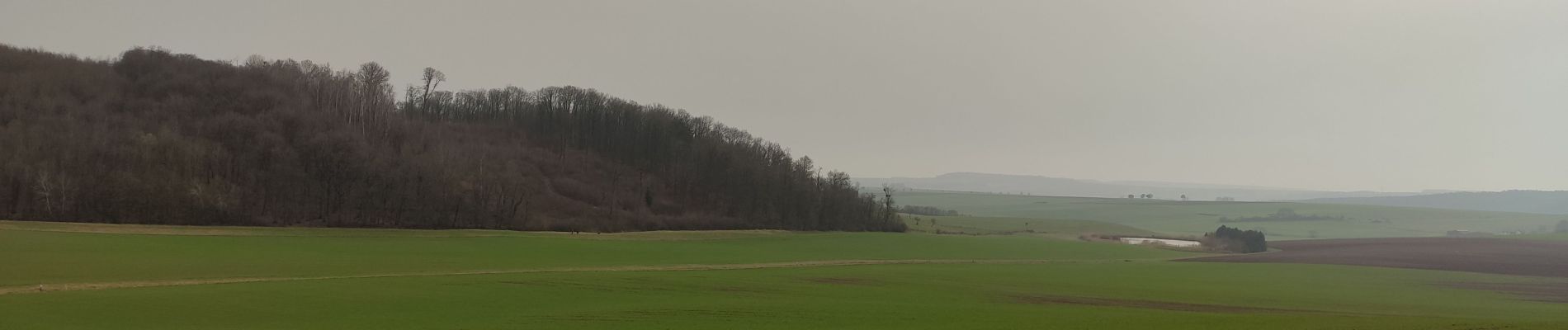 Randonnée Marche Vic-sur-Seille - Bezange la Grande - Photo