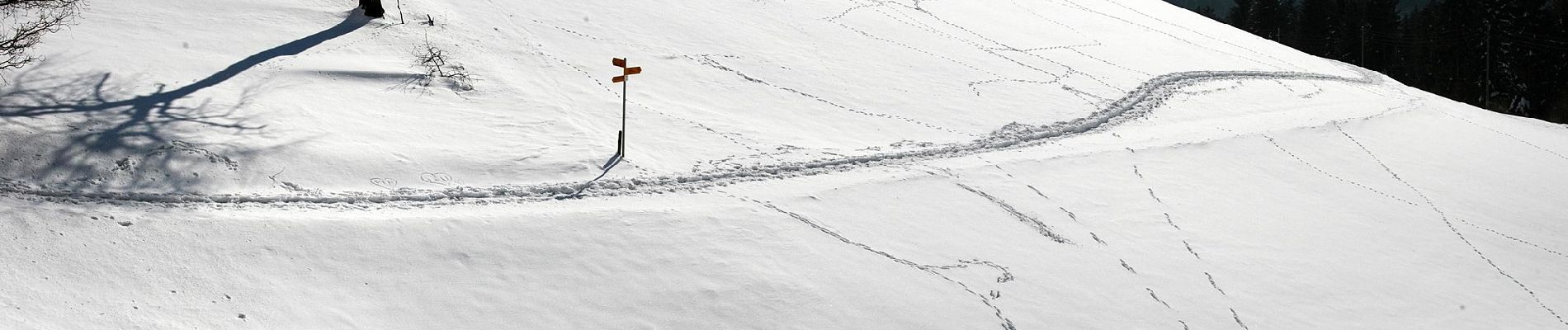 Tour Zu Fuß Schwarzenberg - Grosse Welt - Photo