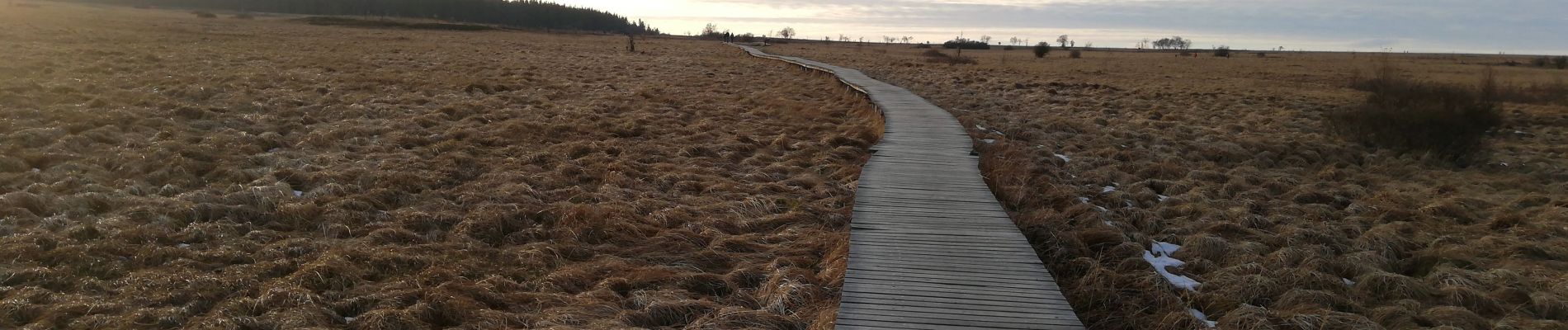 Tocht Stappen Waimes - la grande ronde des fagnes - Photo