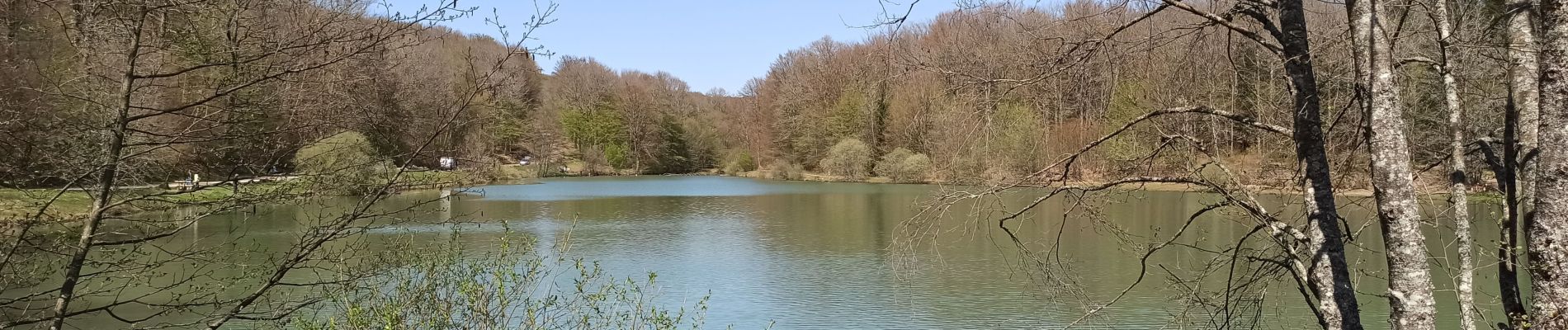 Tocht Stappen Fougerolles-Saint-Valbert - 25-04-21 ermitage- étang d'emery - Photo