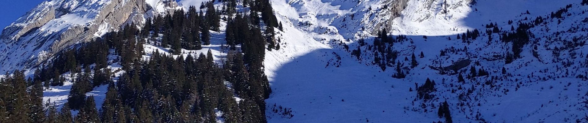 Tocht Sneeuwschoenen La Clusaz - le Danet - Photo