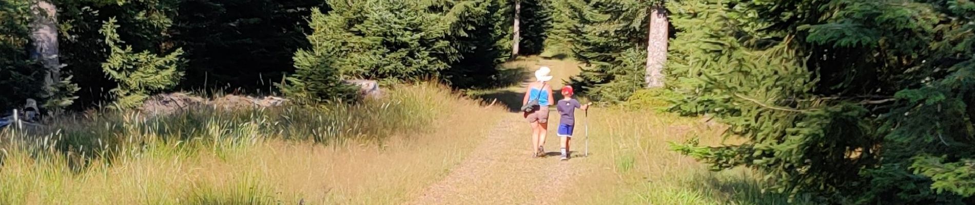 Tocht Stappen Grandfontaine - La Corbeille, col de Prayé - Photo