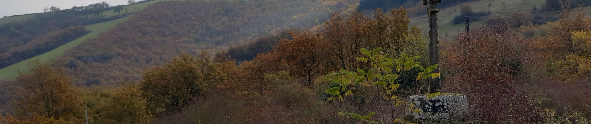 Tocht Stappen Rebourguil - Ennous in live - Photo