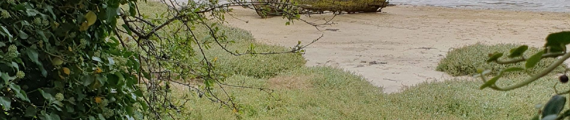 Randonnée Marche Trégunc - Yregunc re ar wenodenn - Photo