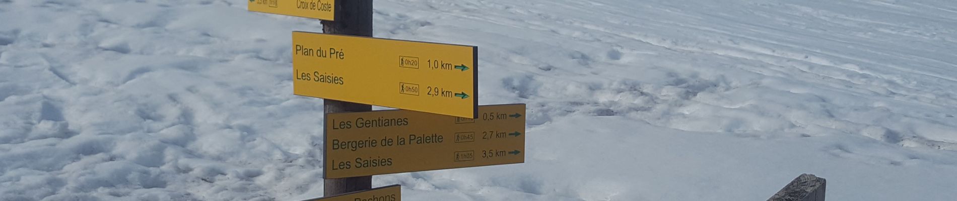 Percorso Racchette da neve Hauteluce - Col des Saisies - Croix de la Coste - Signal de Bisanne - Photo