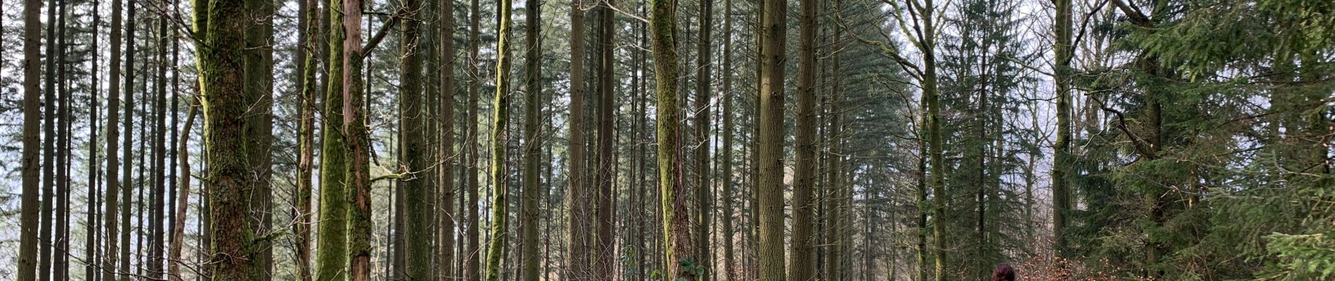 Trail Walking Bouillon - Toer Laviot - Photo