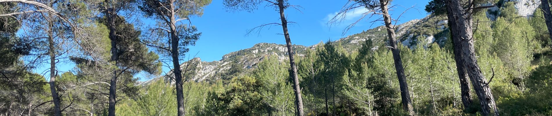 Randonnée Marche Saint-Rémy-de-Provence - Alpilles - Photo