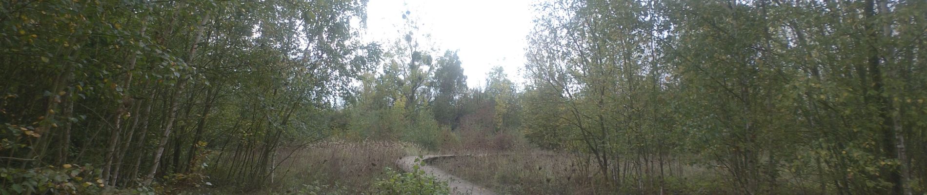 Tour Zu Fuß Amay - LA GRAVIERE - Photo