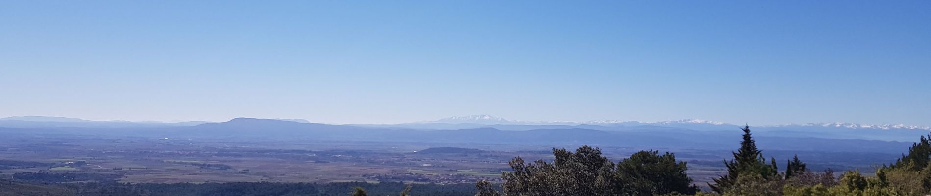 Excursión Senderismo Félines-Minervois - randonnées pédestres des marbrieres  - Photo