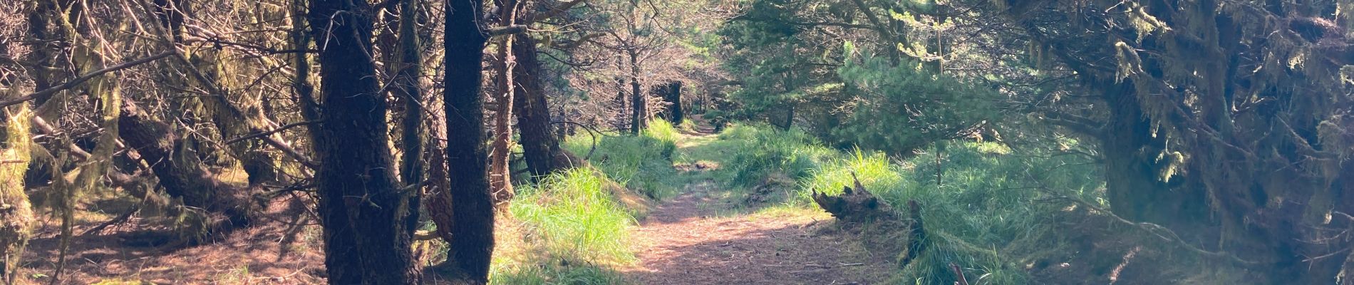 Tour Wandern Westport-Belmullet Municipal District - Letterkeen loop - Photo