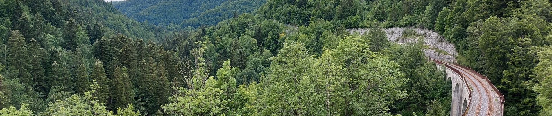 Tocht Stappen Hauts de Bienne - sentier de la Bienne - Photo