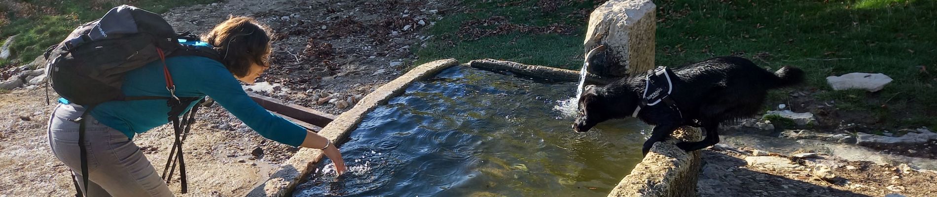 Excursión Senderismo Engins - Le hameau de Sornin - Photo