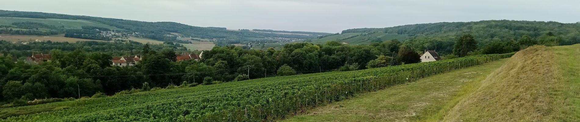 Tour Wandern Mont-Saint-Père - Mont-St-Père du 13-09-2022 - Photo