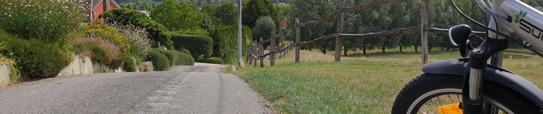 Percorso Bicicletta elettrica Ronse - Balade vélo  - Photo