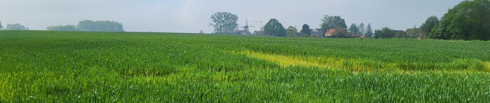 Tour Wandern Gembloux - Petit Leez 090524 - Photo