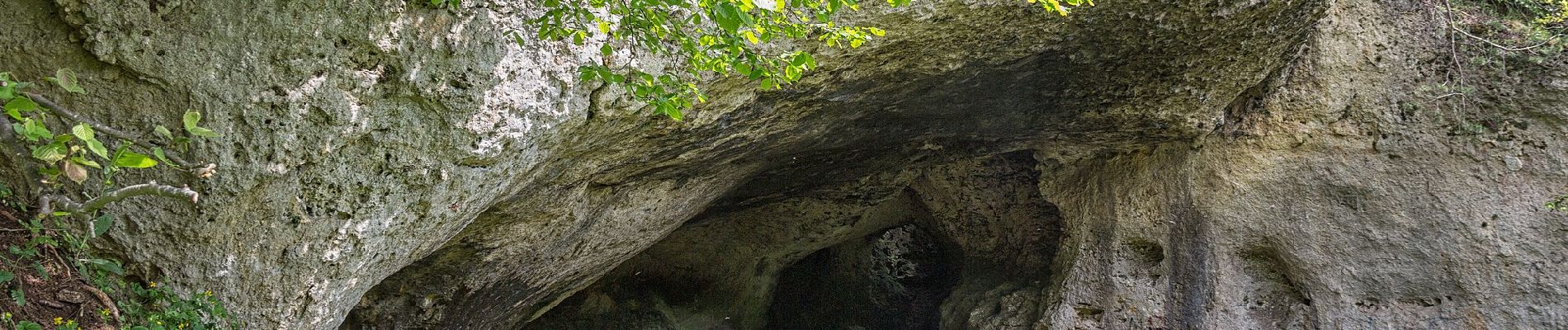 Tocht Te voet Auerbach in der Oberpfalz - Auerbacher Obstler-Weg - Photo