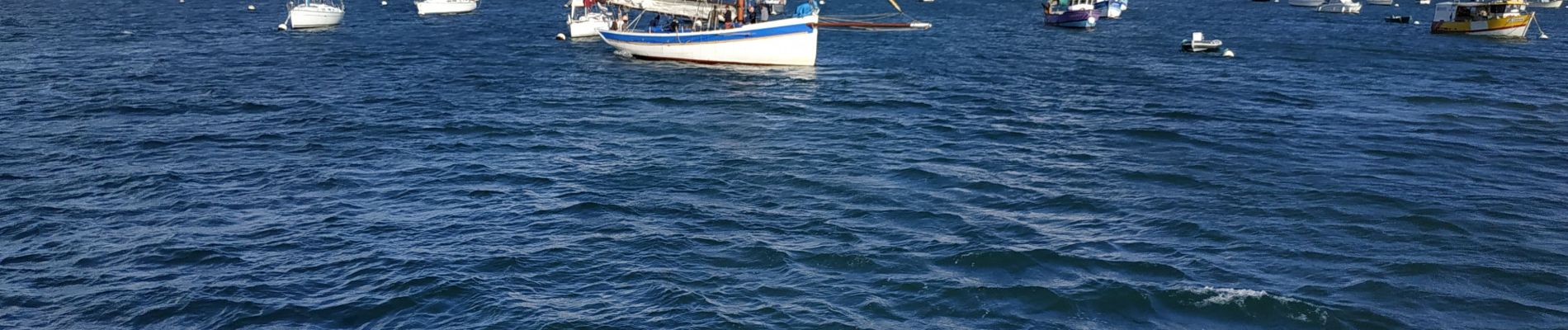 Excursión Barco a motor Locmariaquer - 2023-09-22 golfe du morbihan croisière avec l'angélus - Photo