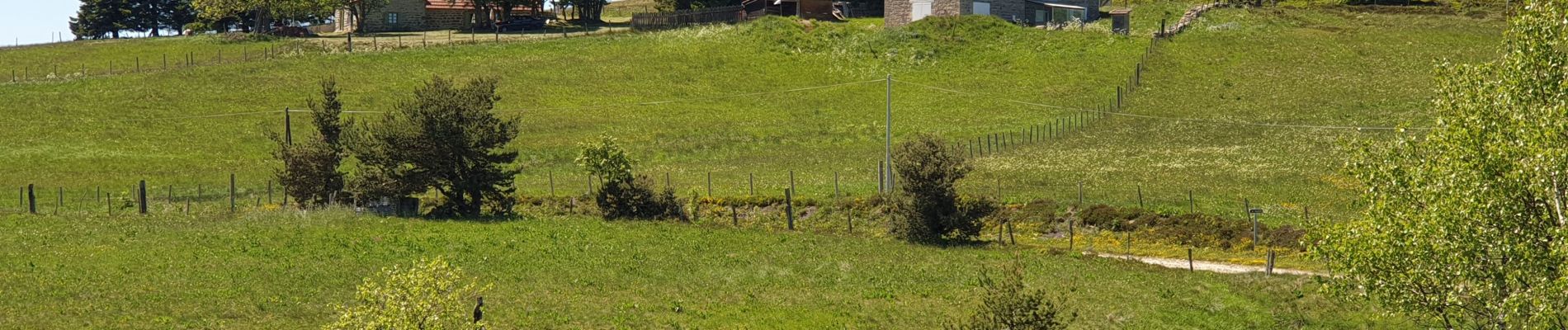 Tour Wandern Grandrif - Boucle des Pradeaux - Photo