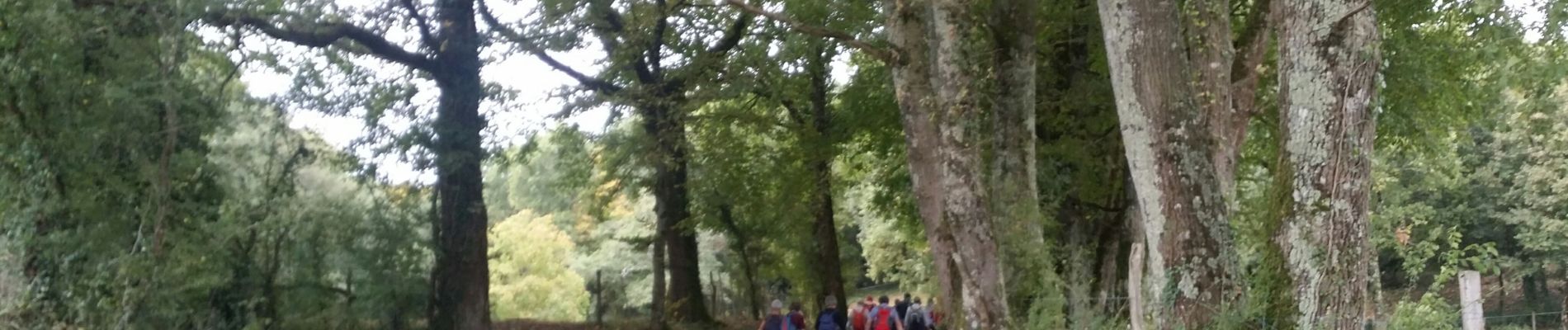 Tour Wandern Chasseneuil-sur-Bonnieure - La randonnée du Mémorial de Chasseneuil  - Photo