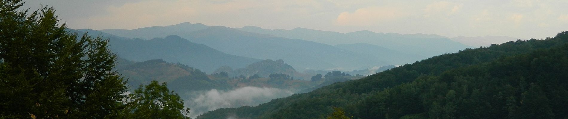 Excursión A pie Desconocido - Piatra Pușcată / Confluența Tâmnei cu Cerna (km 26) - Șaua Arșasca - Photo