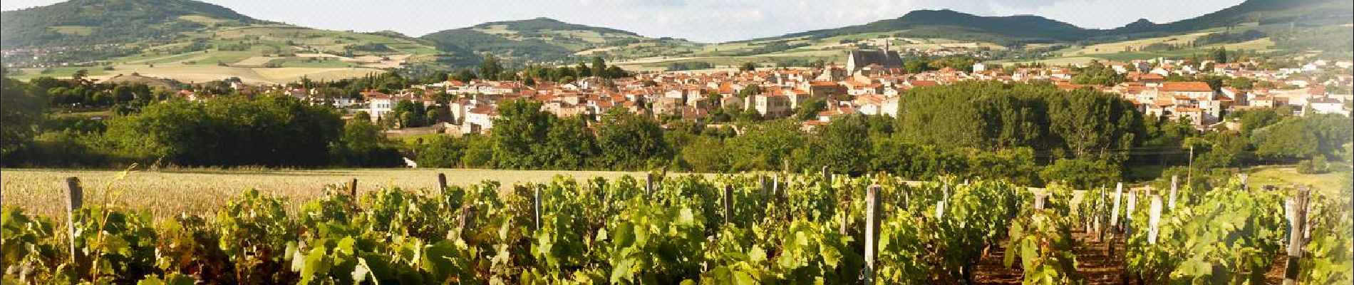 Tour Wandern Vic-le-Comte - Vic_le_Comte_Campagne - Photo