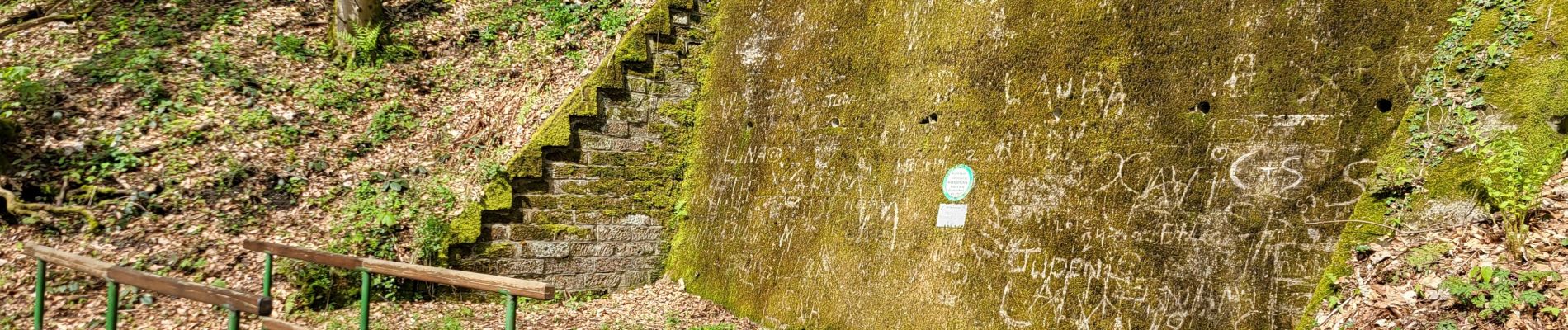 Excursión Senderismo Lemberg - Lemberg - cascade des Ondines - sentiers des grottes et des étangs - Photo