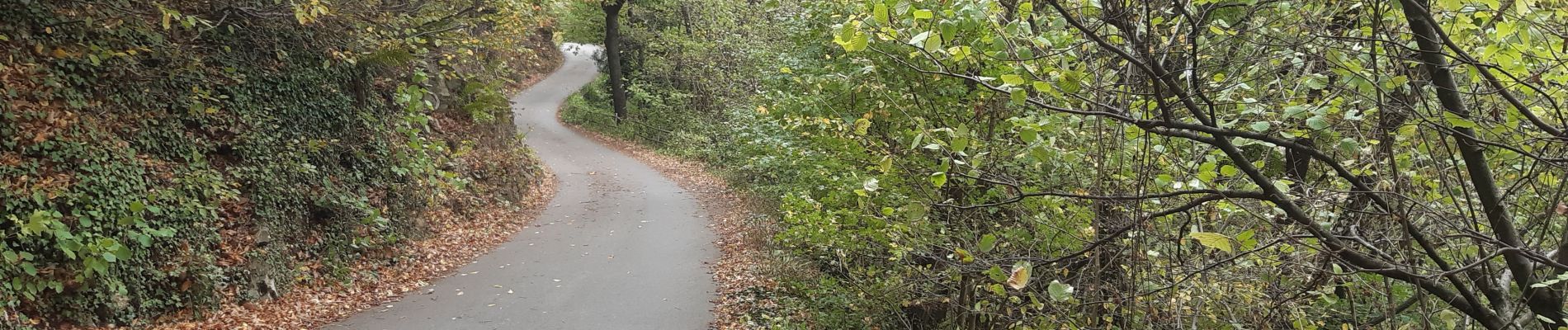 Randonnée Marche Chaudfontaine - via bois des dames et bois de la rochette  - Photo