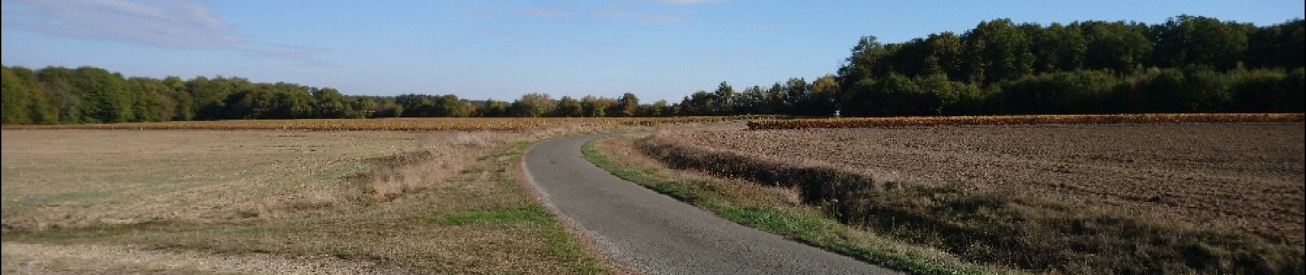 Tour Wandern Saint-Ouen-les-Vignes - Saint-Ouen-les-Vignes - Monteaux (la Digue) via GR - 21.4km 160m 4h30 (35mn) - 2018 10 27 - Photo