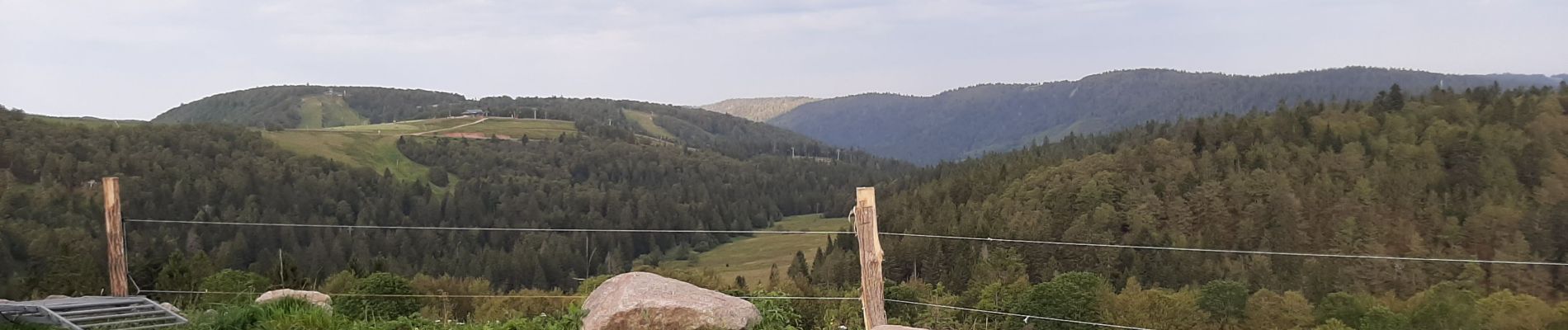 Excursión Bici de montaña La Bresse - la bresse honneck - Photo