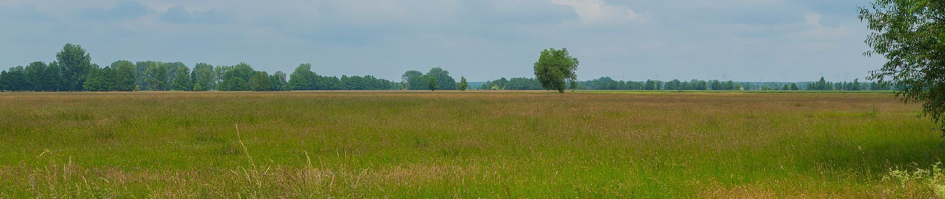 Trail On foot Alt Zauche-Wußwerk - Theodor-Fontane-Weg - Photo