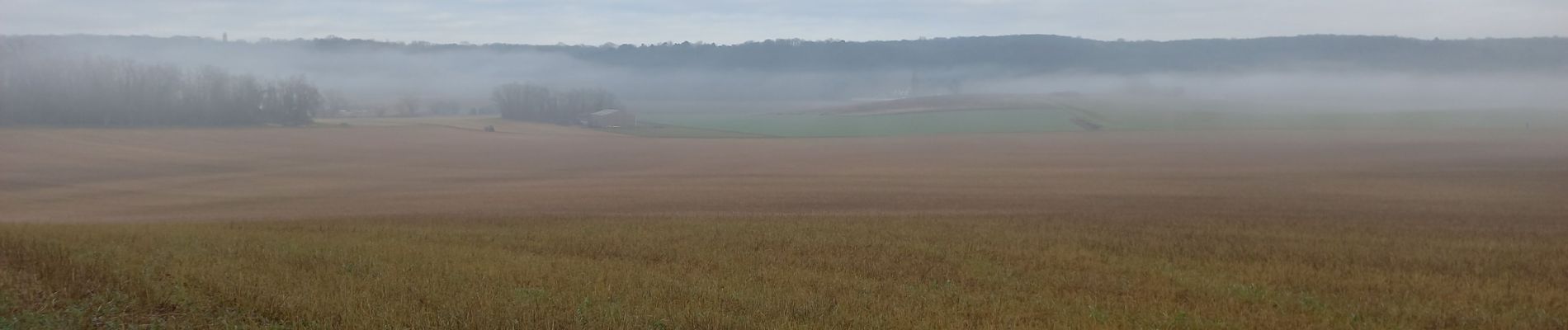 Percorso Marcia Courances - Courances Videlle - Photo