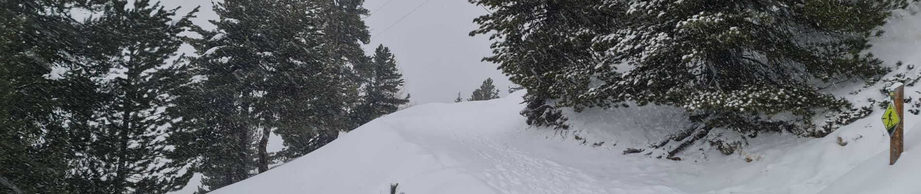 Randonnée Raquettes à neige La Plagne-Tarentaise - La Plagne Village, Dou du Praz, La Plagne Centre  - Photo