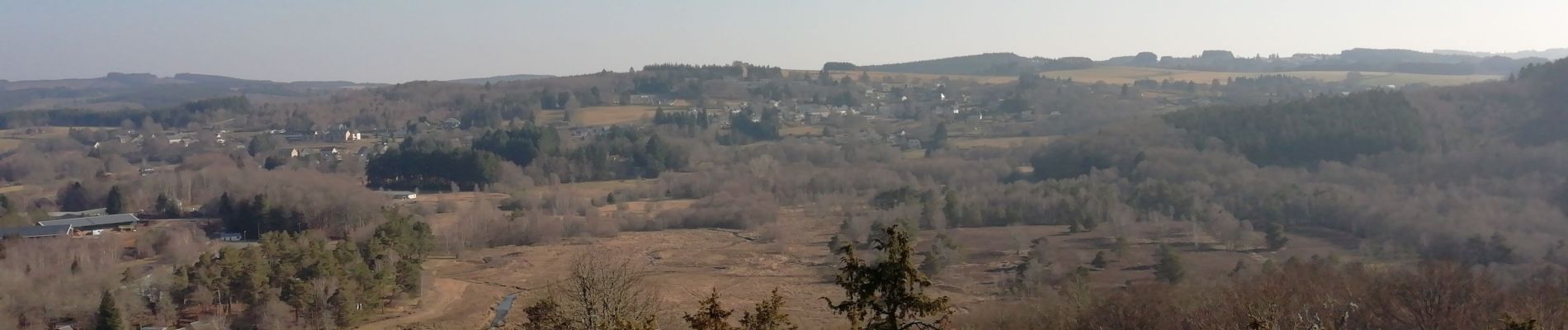 Tocht Stappen Peyrelevade - Fred tourbière de Rebiere Nègre  - Photo