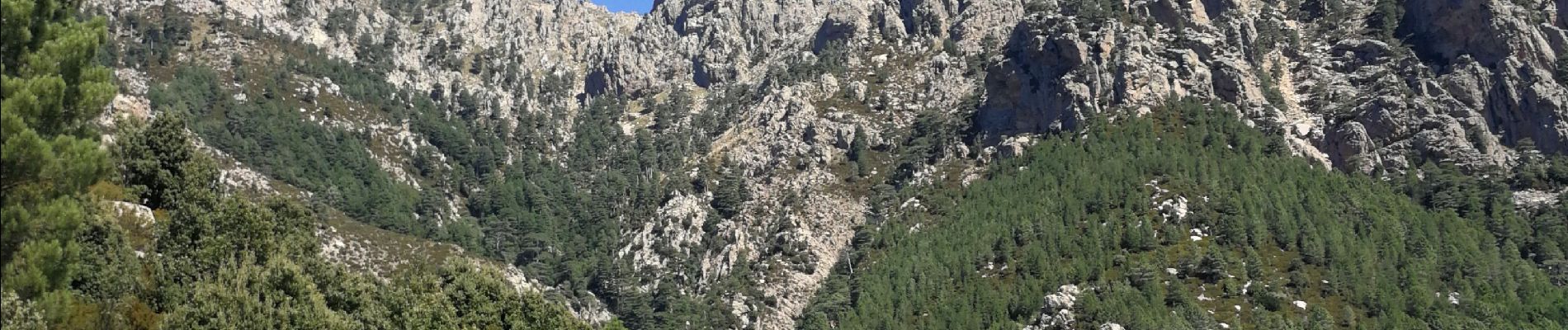 Tour Wandern Quenza - Le Tour des Aiguilles de Bavella - Photo