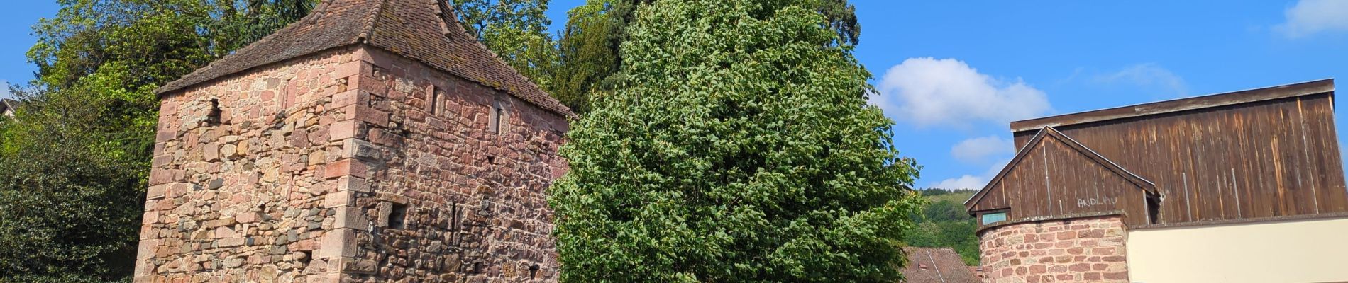 Randonnée Marche Andlau - Les châteaux d'Andlau et le vignoble de Mittelbergheim. - Photo