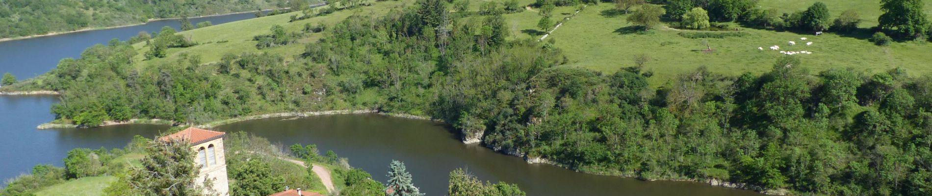 Excursión Senderismo Saint-Jean-Saint-Maurice-sur-Loire - St Jean-St Maurice 18km - Photo