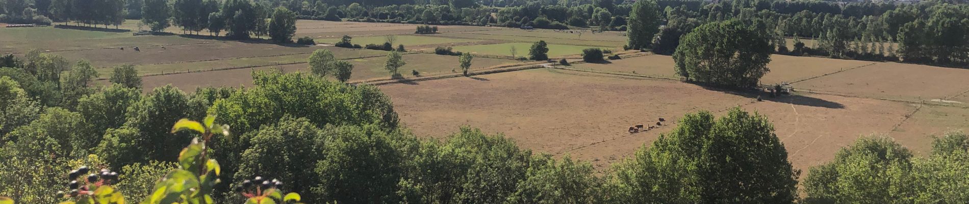 Trail Walking Mont-d'Origny - Falaise bloucard - Photo