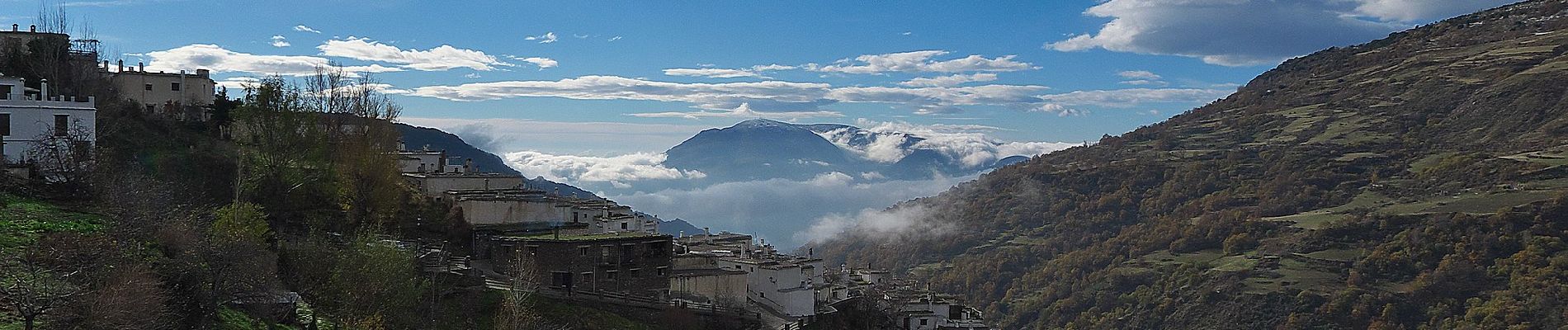 Tocht Te voet Capileira - Acequias del Poqueira - Photo