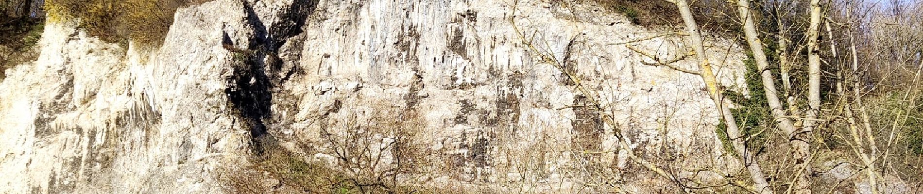 Randonnée Marche Comblain-au-Pont - Promenade vers le site naturel des tartines  - Photo