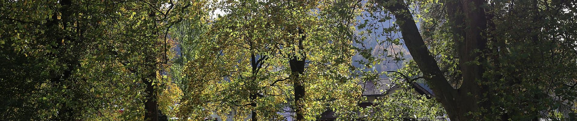 Tour Zu Fuß Stadt Kufstein - Promenaden-Runde - Photo