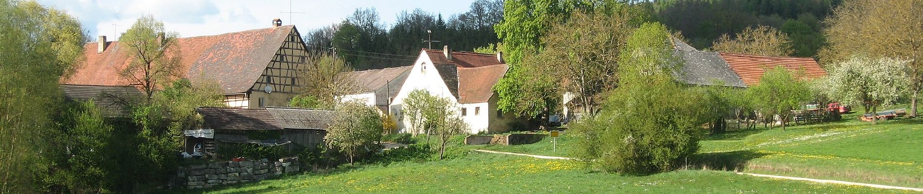 Percorso A piedi Treuchtlingen - Kapellenweg - Photo