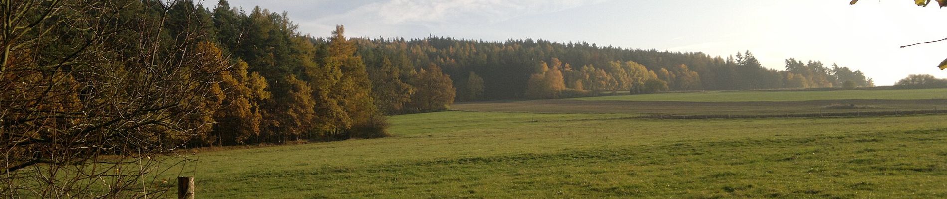 Tocht Te voet Louňovice pod Blaníkem - Malý Blaník – Podlesí - Photo