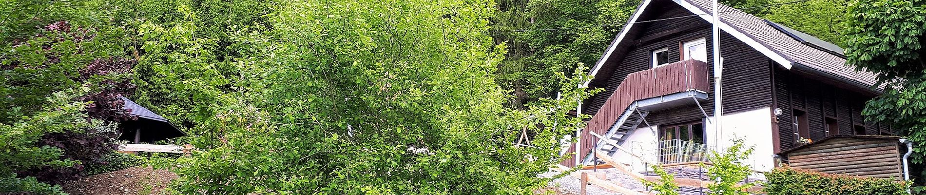 Tocht Te voet Lennestadt - Oberelspe Verbindungsweg U SGV-Hütte - Photo