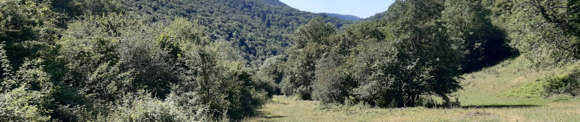 Tour Zu Fuß Val-Revermont - Nivigne Cuisiat - Photo