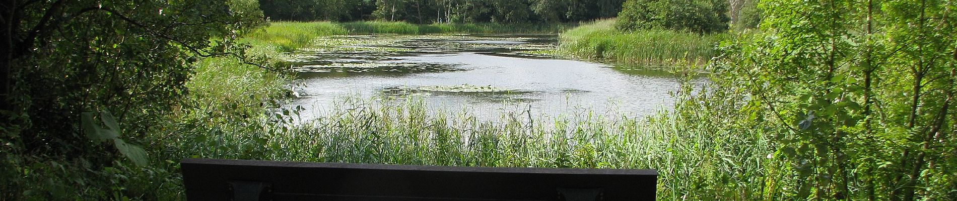 Randonnée A pied Westvoorne - Scholeksterroute - Photo