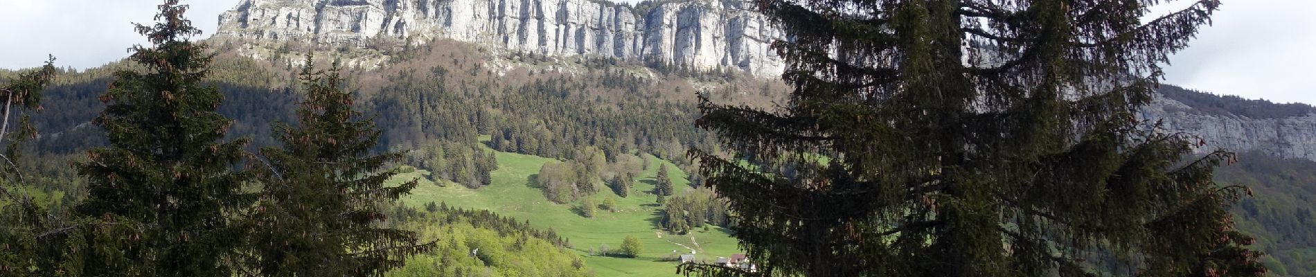 Randonnée Marche Entremont-le-Vieux - Roche-Veyrand-2021-05-27-G3 - Photo