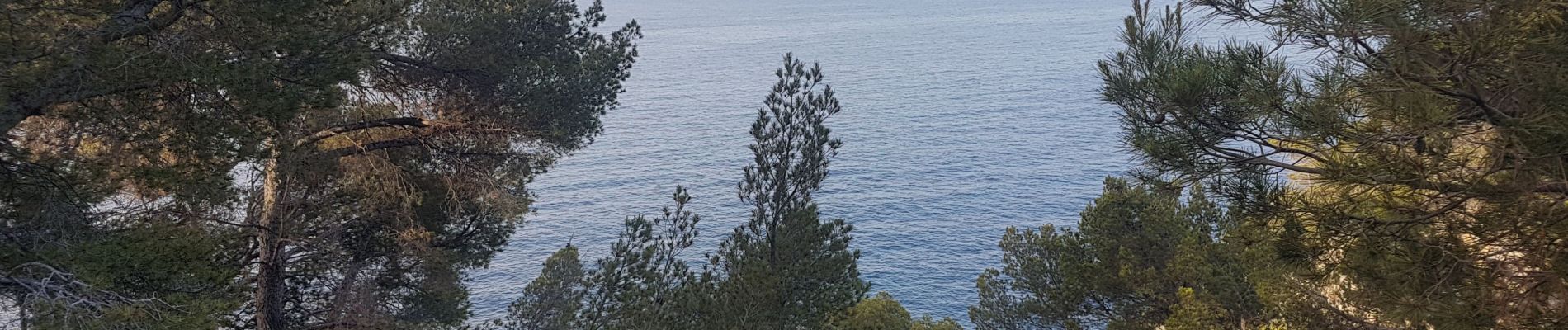 Tour Wandern Saint-Cyr-sur-Mer - Calanque Port d'Alon boucle par la pointe fauconfanière et le sentier des vignes   - Photo