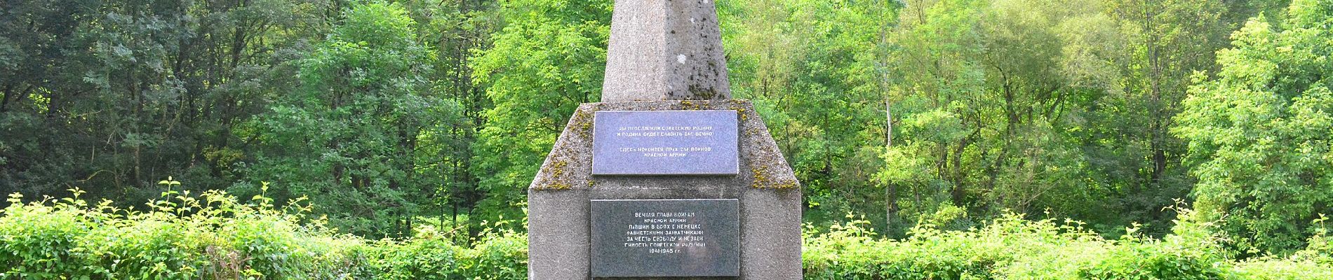 Percorso A piedi Gemeinde St. Veit an der Gölsen - St. Veit an der Gölsen - Lilienfeld - Photo