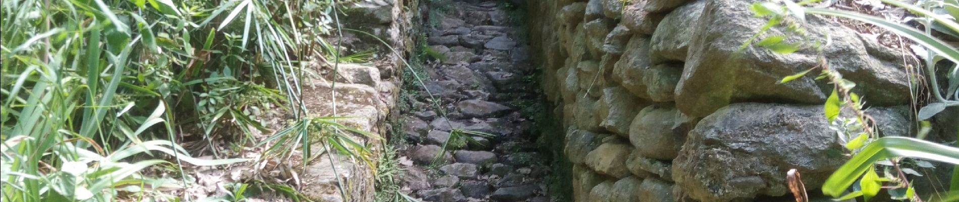 Randonnée Marche Laroque-des-Albères - Les cabanes de Mataporc - Photo